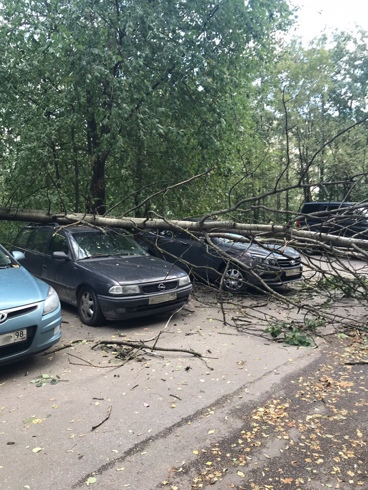 Искровский, 28